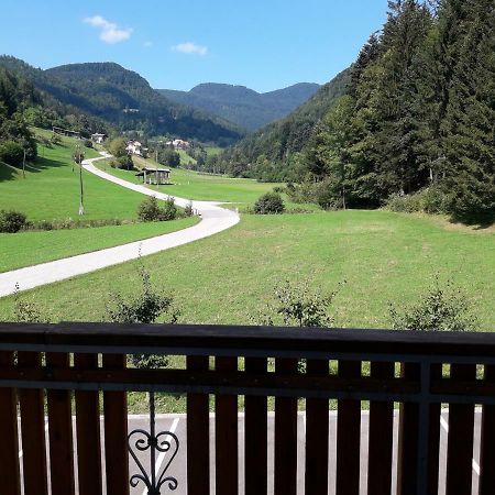 Simnovi Apartmaji - Surrounded By Nature 卡姆尼克 外观 照片