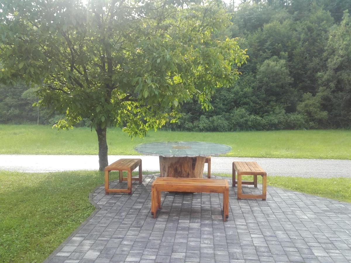 Simnovi Apartmaji - Surrounded By Nature 卡姆尼克 外观 照片
