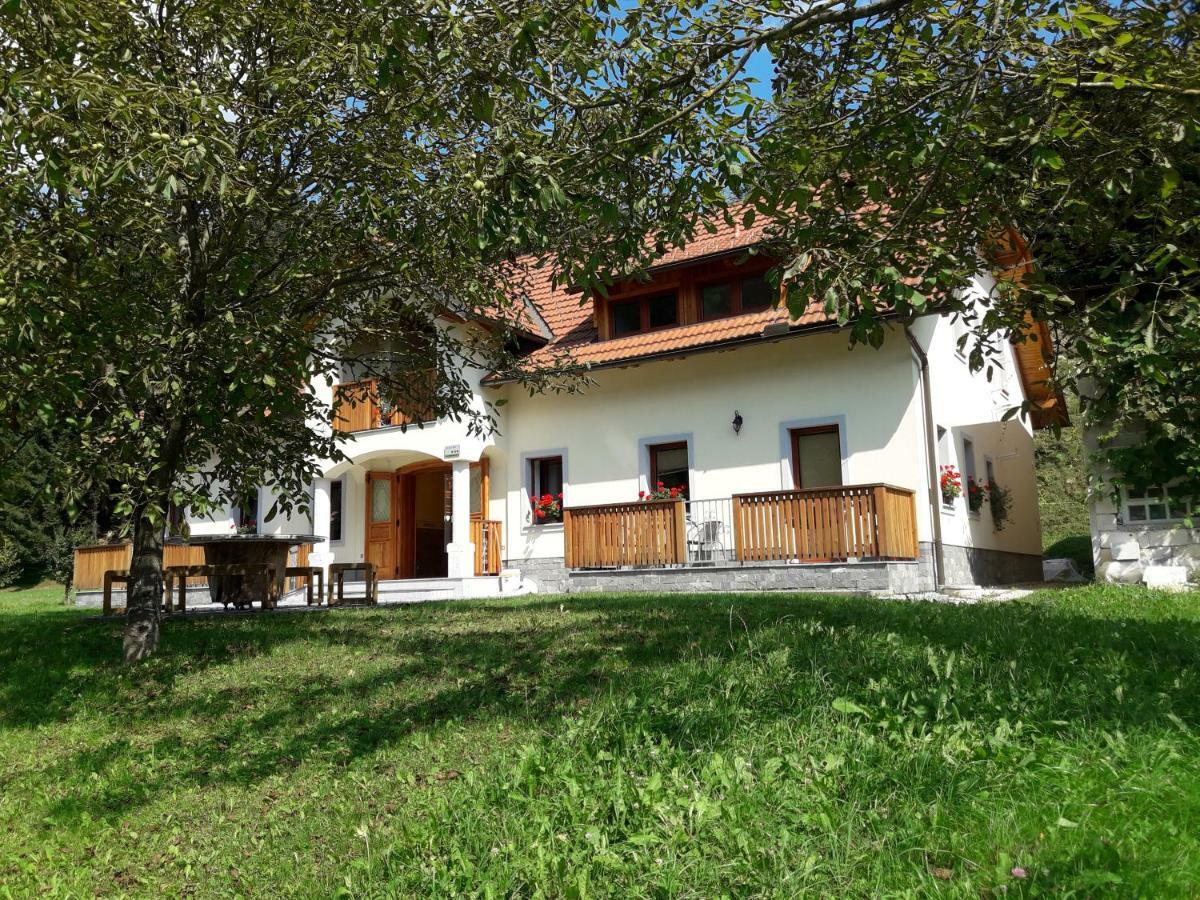 Simnovi Apartmaji - Surrounded By Nature 卡姆尼克 外观 照片